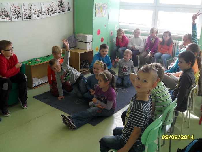 Ryby – rybky – rybičky